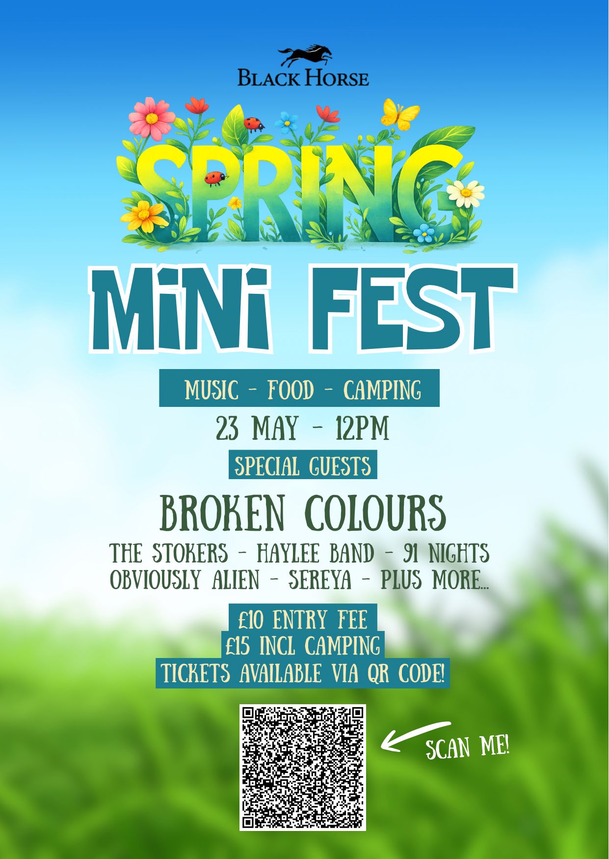 The Black Horse pub mini festival